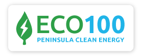 ECO100_logo-button